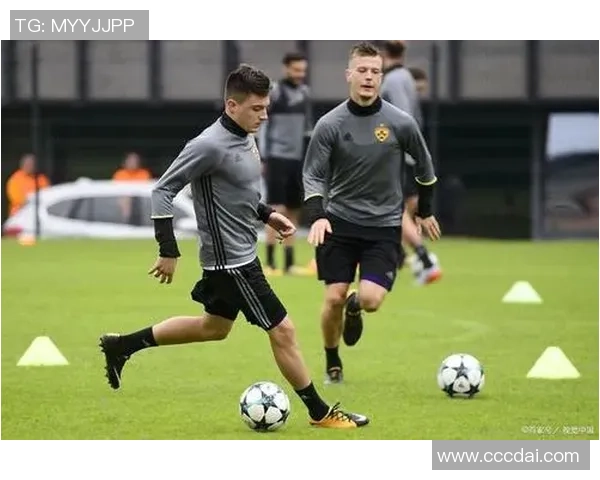 塞浦路斯与斯洛文尼亚比赛结果分析及比分预测详解