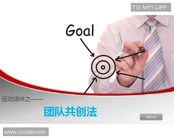 张帆携手团队共创辉煌未来探索创新与合作的新篇章