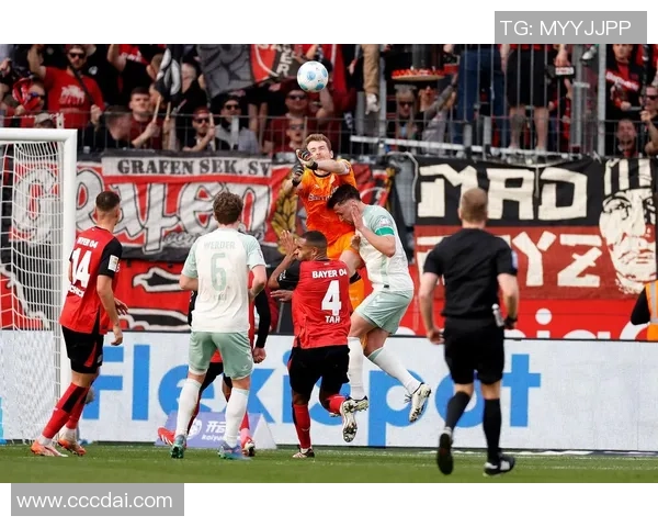 德甲精彩对决比勒费尔德迎战科隆球队争夺激烈不容错过 德甲精彩对决比勒费尔德迎战科隆球队争夺激烈不容错过