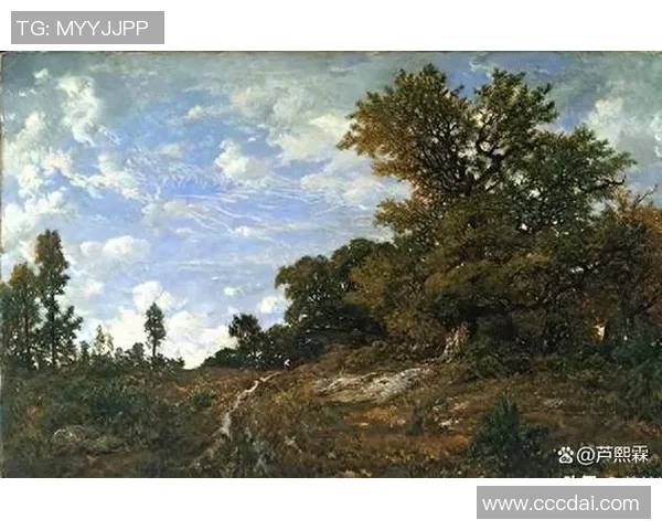 探索谢什科的历史与文化魅力揭示其在当代社会的影响与价值