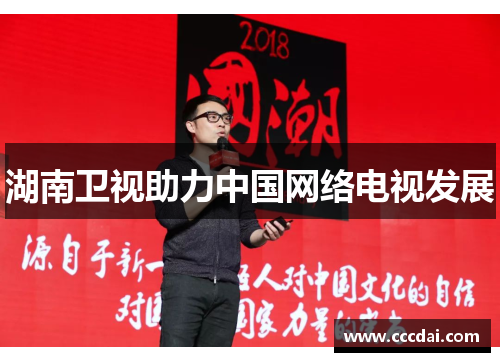 湖南卫视助力中国网络电视发展