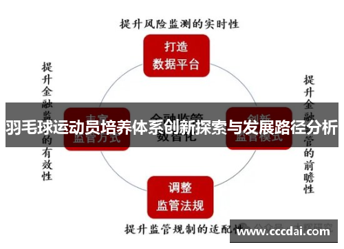 羽毛球运动员培养体系创新探索与发展路径分析
