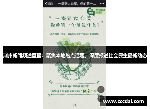 荆州新闻频道直播：聚焦本地热点话题，深度报道社会民生最新动态