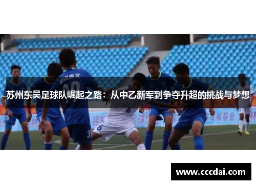 苏州东吴足球队崛起之路：从中乙新军到争夺升超的挑战与梦想