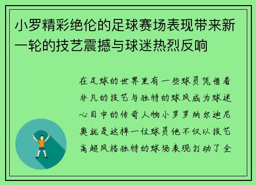 小罗精彩绝伦的足球赛场表现带来新一轮的技艺震撼与球迷热烈反响