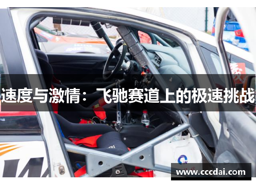 速度与激情：飞驰赛道上的极速挑战